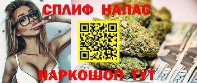 spice Гусев