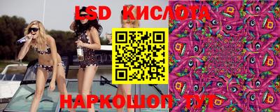 spice Гусев