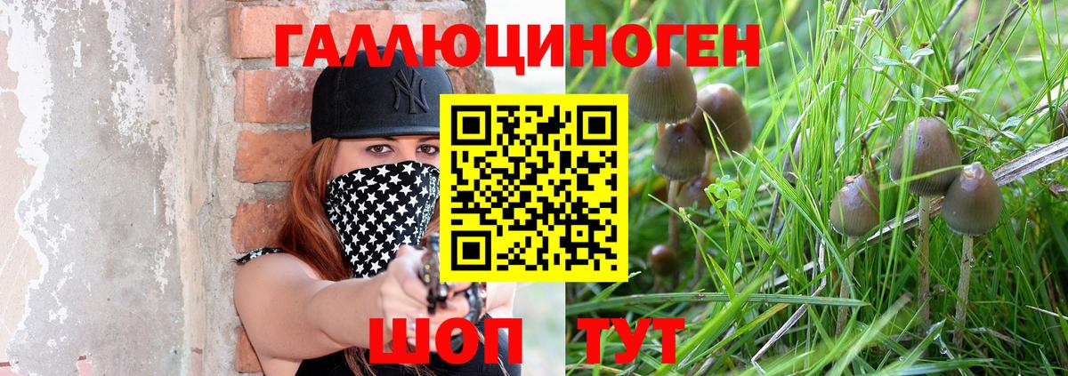 Галлюциногенные грибы прущие грибы  Псилоцибиновые грибы MAGIC MUSHROOMS  Вход с VPN  Междуреченск 