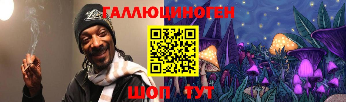 Псилоцибиновые грибы GOLDEN TEACHER Междуреченск