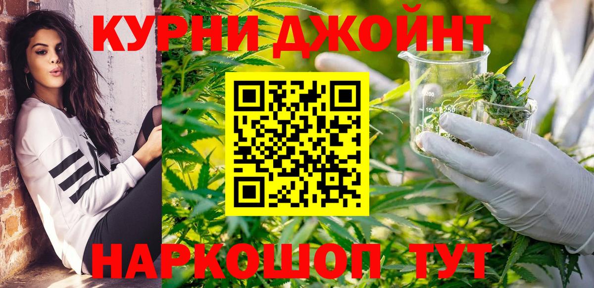 Конопля сатива Междуреченск